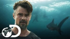 Did Discoverys Blood In The Water Jump The Shark