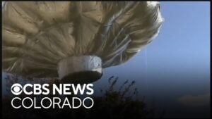 Balloonboy Saga Enjoys Great Online Ads